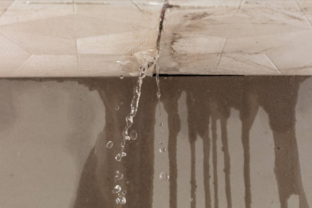 Professional Structural Drying technician working in Casco, WI